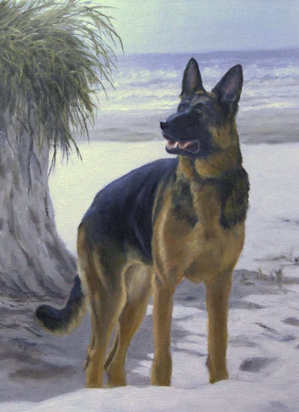 german shepard pet commission